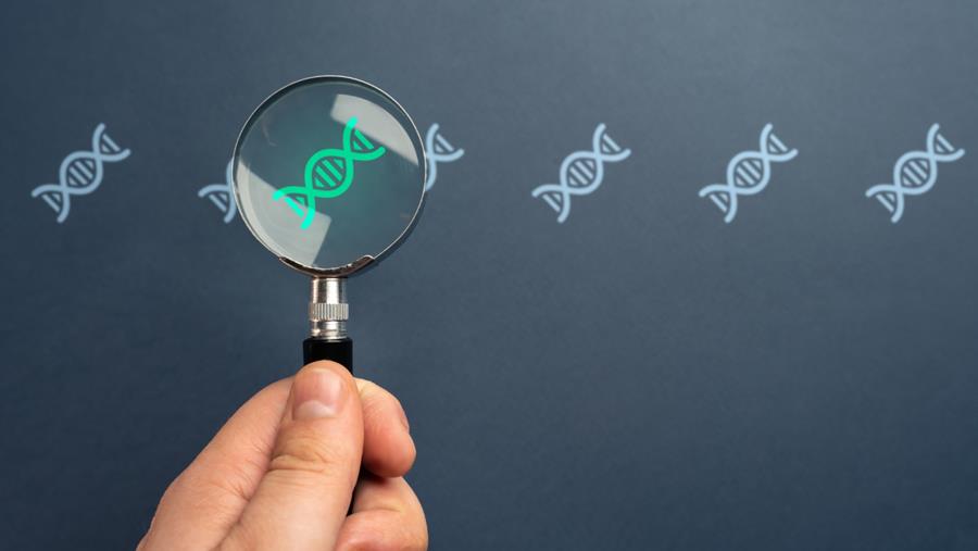 Syndroom van Stevens-Johnson en toxische epidermale necrolyse: anti-epileptica, antibiotica en genetische vatbaarheid