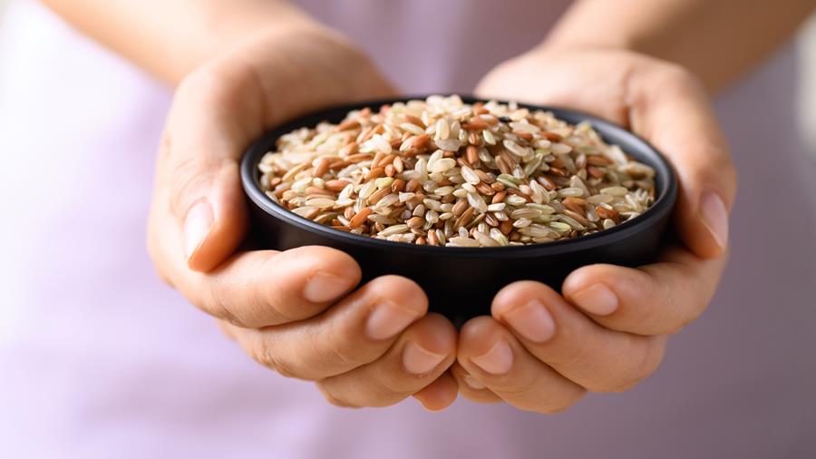 4 à 6 portions quotidiennes de céréales complètes pour agir sur le risque cardiométabolique