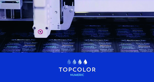 Concurrentievoordeel door inkomsten-genererende bedrijfsprocessen