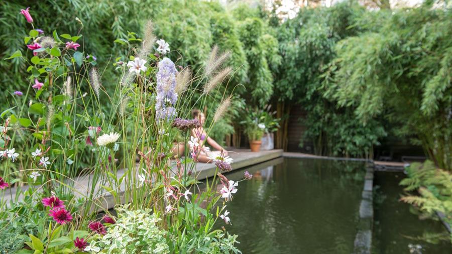 Tendances jardin 2025: la résilience climatique est cruciale