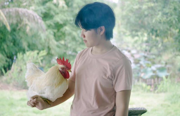 Premier cas humain de grippe aviaire identifié au Canada