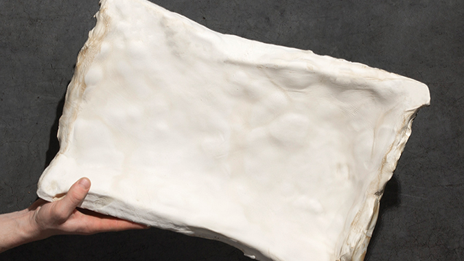 Bouwen met schimmels