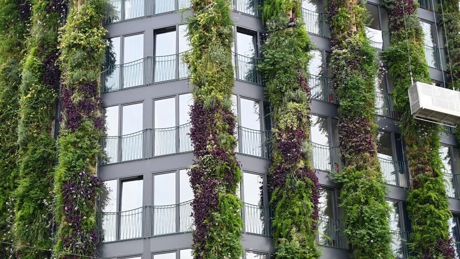Santé mentale : les quartiers verts protègent… mais pas tout le monde