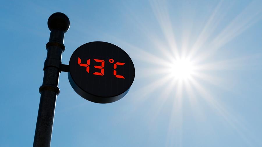 Hittegolf in juni eiste 1.222 bijkomende overlijdens