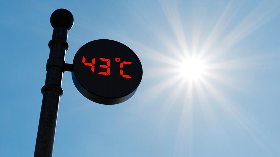 Ook Nederland telt in week na hittegolf meer sterfgevallen dan verwacht